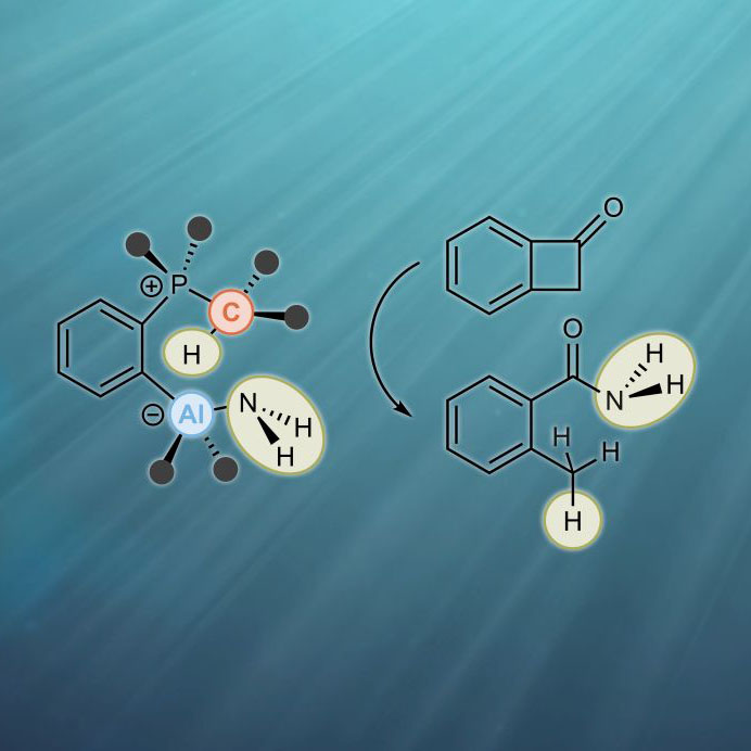 Reversible activation and catalytic transfer of ammonia via a compound of main group elements. (Figure: Frank Breher, KIT) 