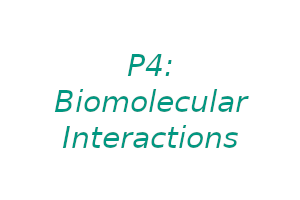 P4: Biomolecular interactions
