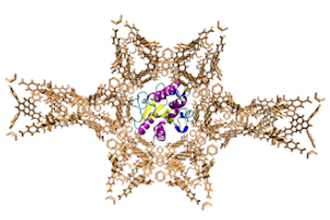 P8: Adsorbents in Biotechnology