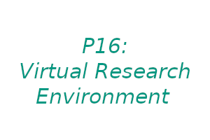 P16: Virtual Research Environment